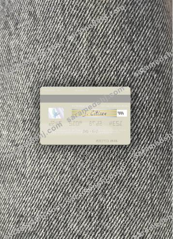 Mongolia Chinggis Khaan Bank visa debit card photolook back